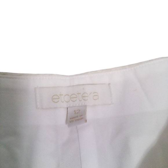 Etcetera Women's Cream Straight Leg Houndstooth Mosaic Zip Side Pants Size 12 - Picture 5 of 8